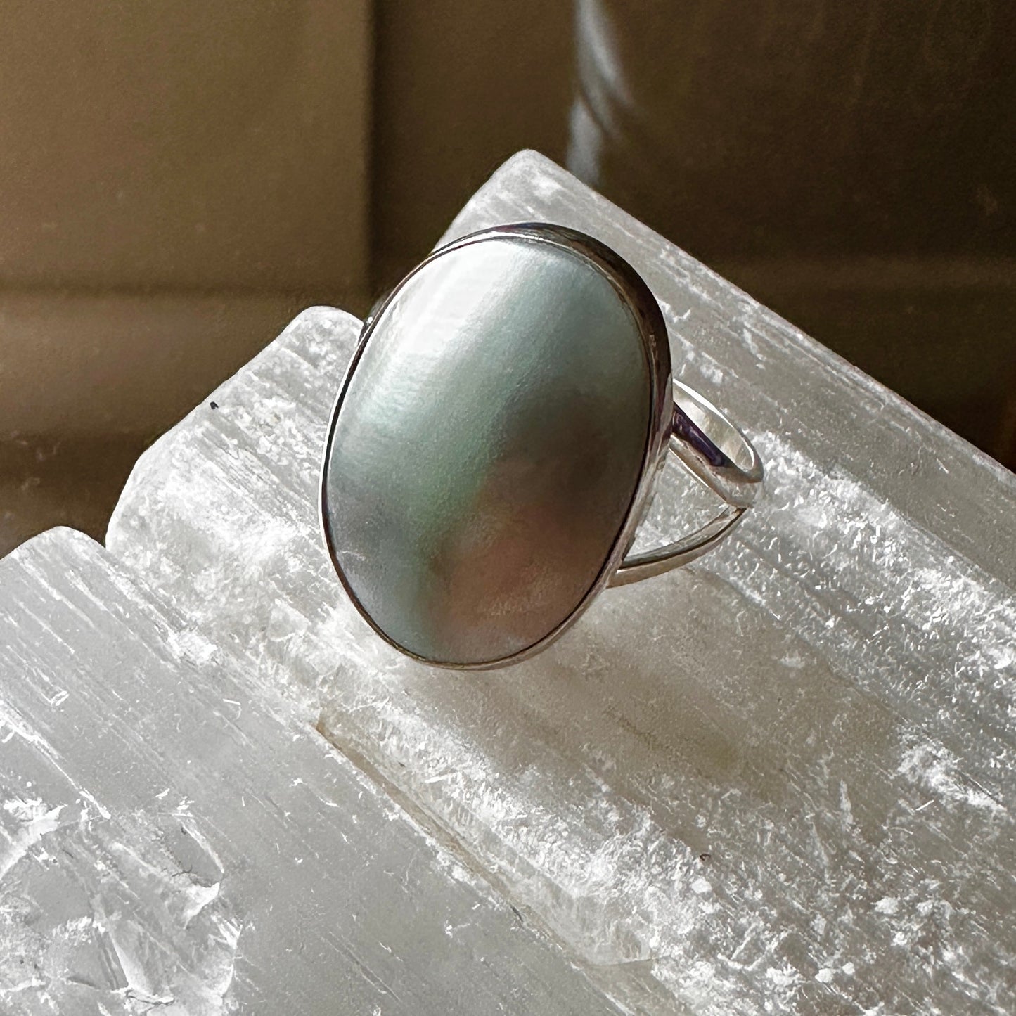 Natural Nautilus Sea Shell Sterling Silver Ring Size 10.5