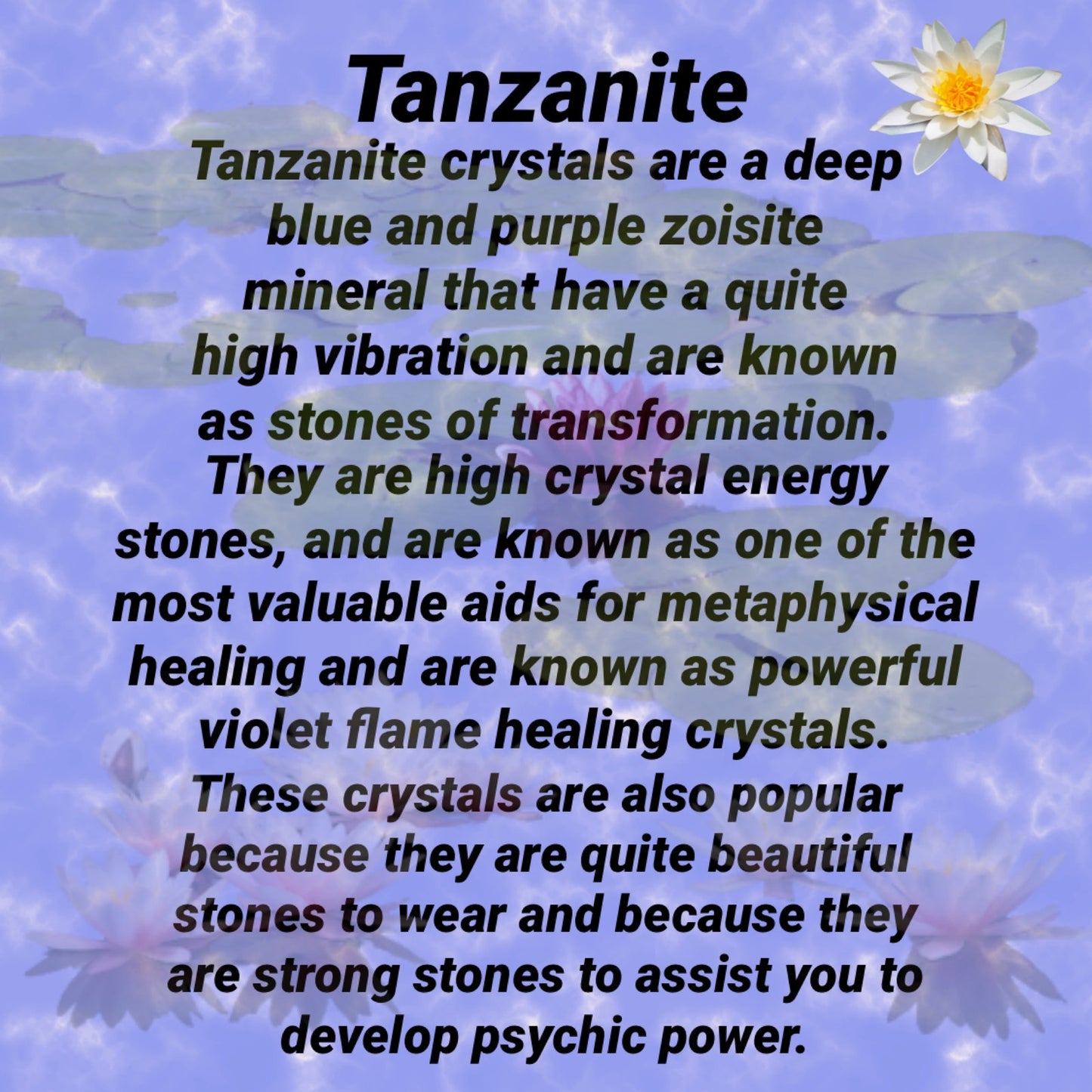 Natural Tanzanite Crystal & Moonstone Rough Sterling Silver Ring