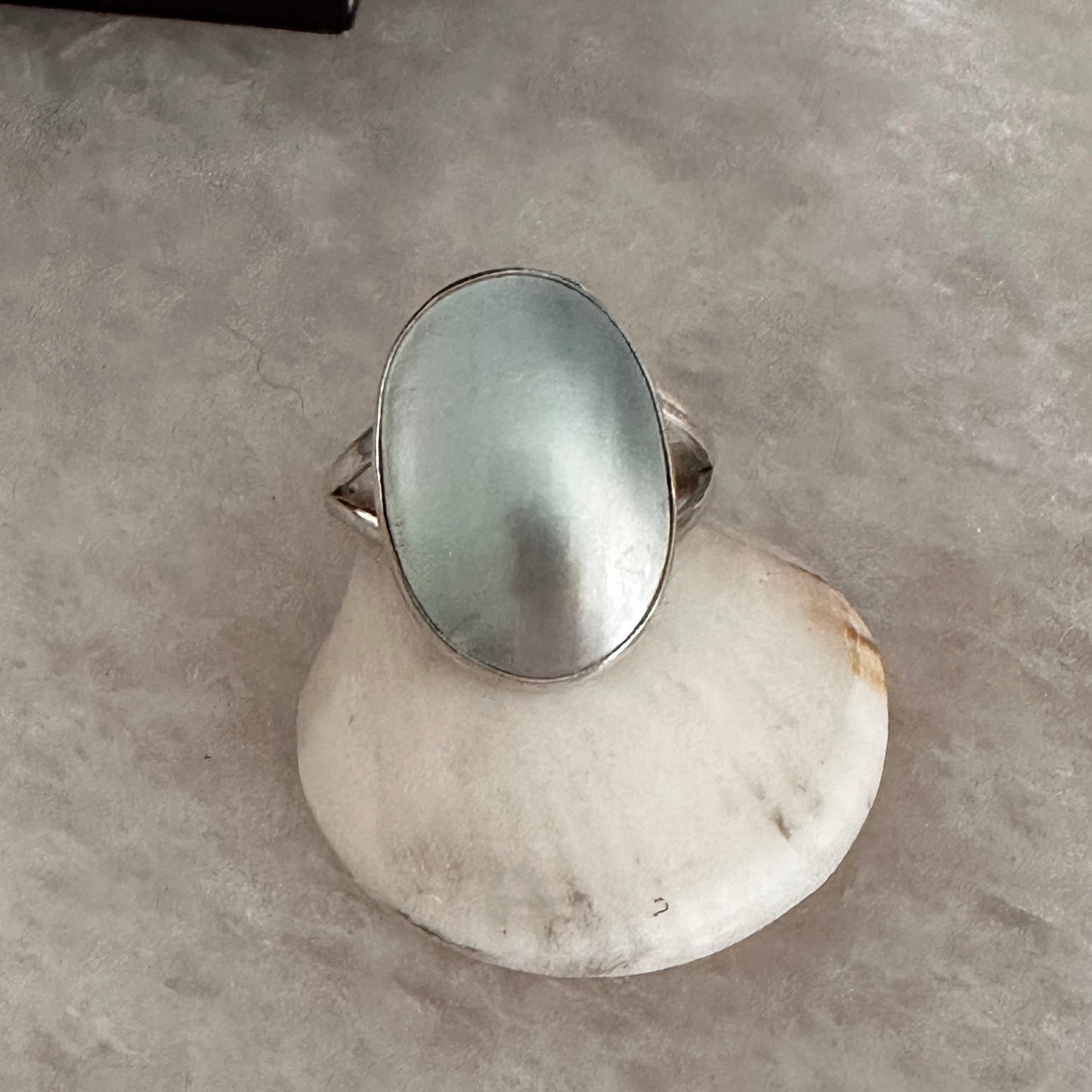 Natural Nautilus Sea Shell Sterling Silver Ring Size 10.5