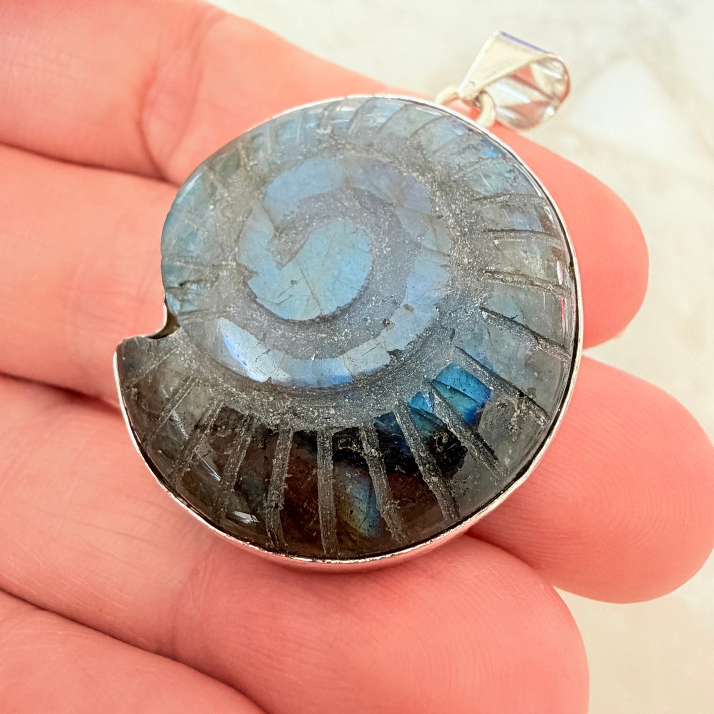 Carved Labradorite Ammonite Pendant 925 Silver Plated