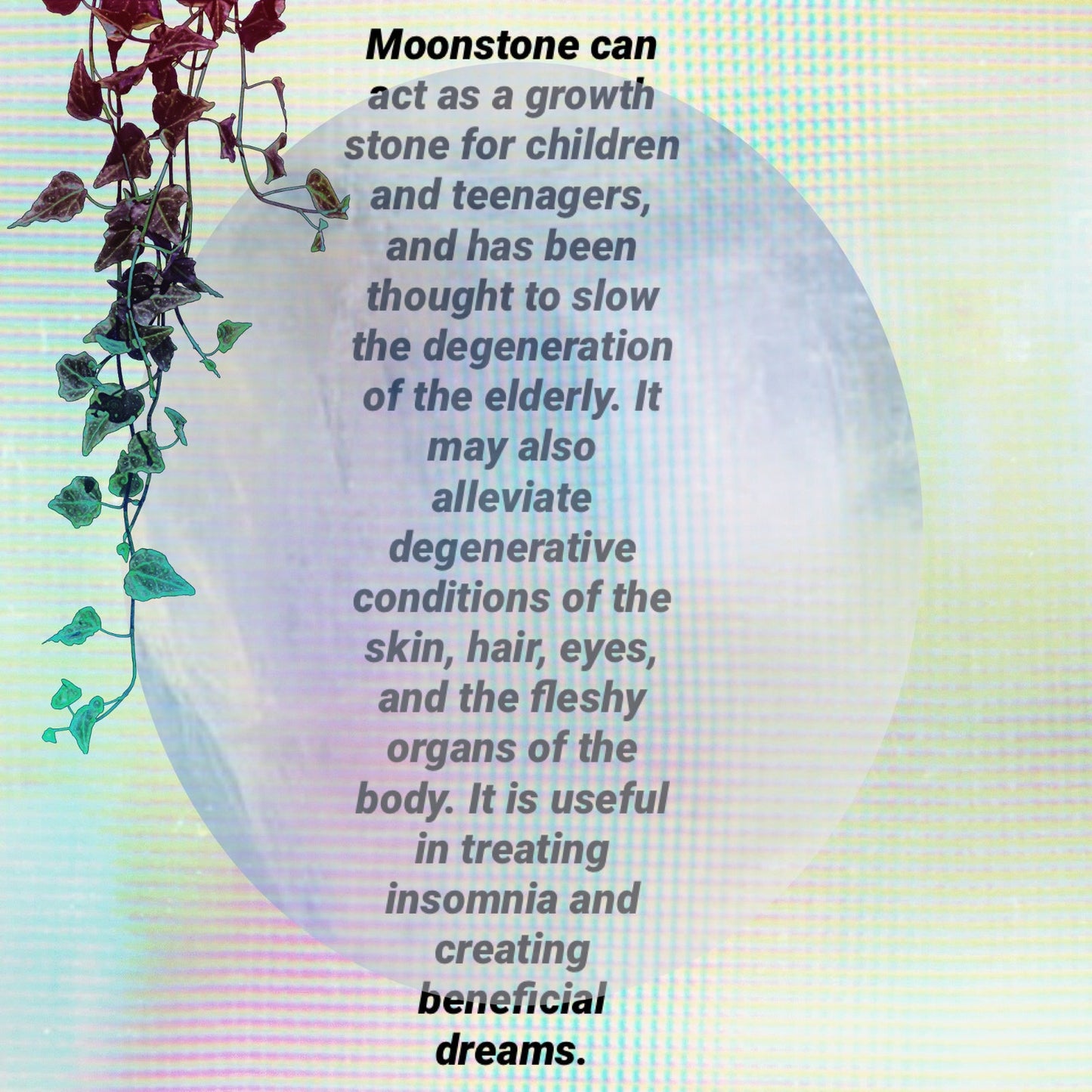 Natural Black Tourmaline In Rainbow Moonstone Sterling Silver Pendant