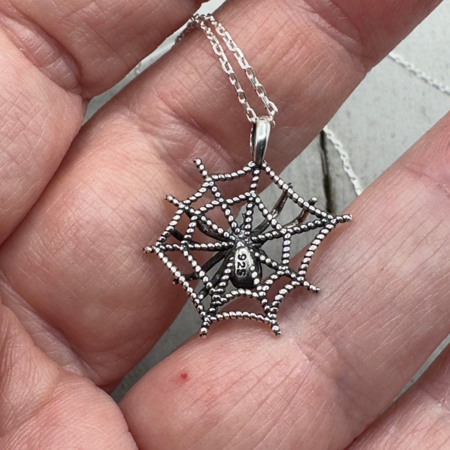 Spider Web Sterling Silver Spider Necklace